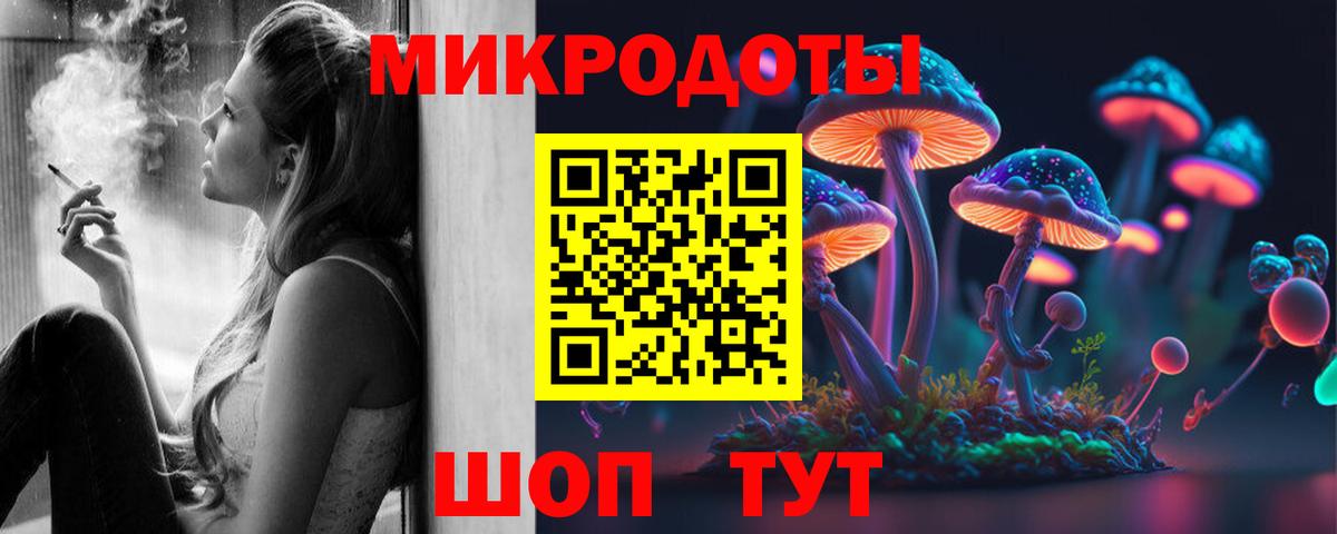 Псилоцибиновые грибы Psilocybe Химки